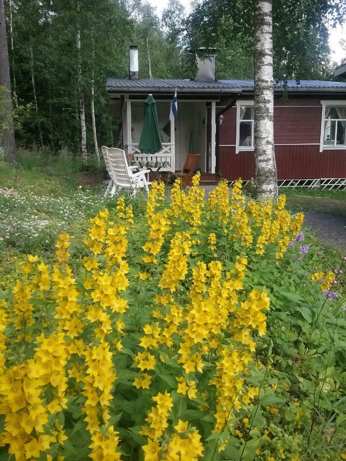 Ilmastoitu Kesaemoekki Askolassa Laehellae Porvoota Exterior foto